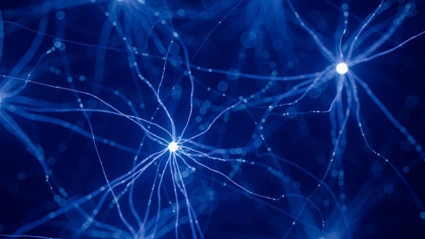 Neuron Cell Network Model 3d illustration of neuron cells network with glowing connections. artificial photos stock pictures, royalty-free photos & images