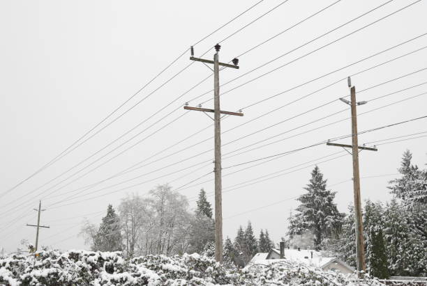 Utility poles stand along a greenway of a residential district in Metro Vancouver, British Columbia. Morning snow.