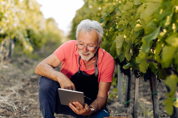 istock Portrait of a senior farmer using a digital tablet and working in his vineyard 1358329572