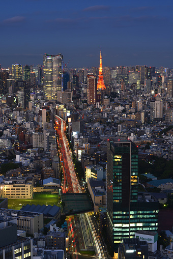 Aerial panoramic view just after sunset in Tokyo, Japan