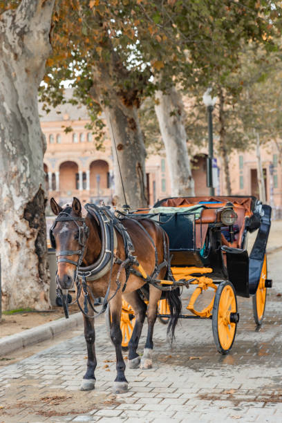 istock Horse carriage, Seville, Spain. 1358336661