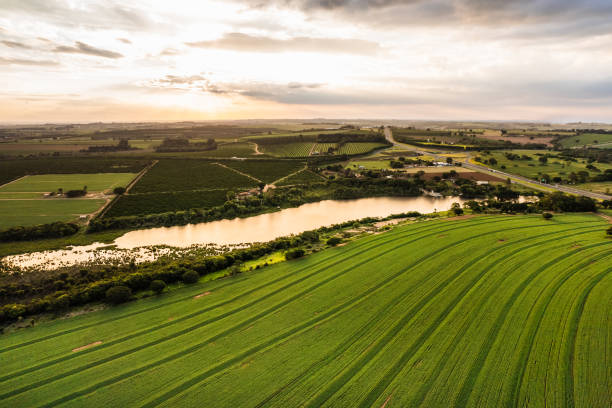 istock Sunset in cultivated area in Mogi-Mirim, Brazil 1358342425