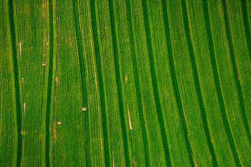 Top view of large cultivated area in Brazil