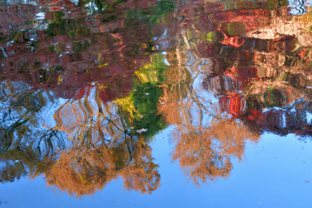 istock Reflection of Autumn Leaf Color on Pond 1358358058