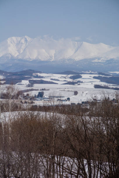 istock Snow hills sprinkled with snow melting agent 1358364729
