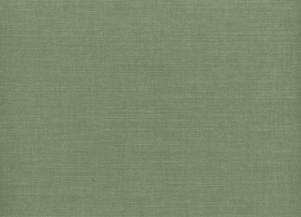 istock grunge olive green color fabric for backgrounds 1358366479