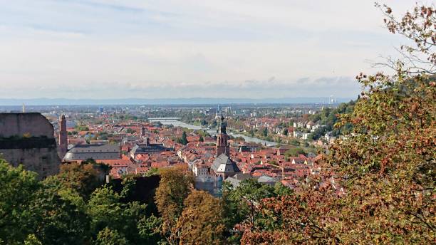 istock Panoramic view of  Heidelberg city with Neckar river. 1358367191