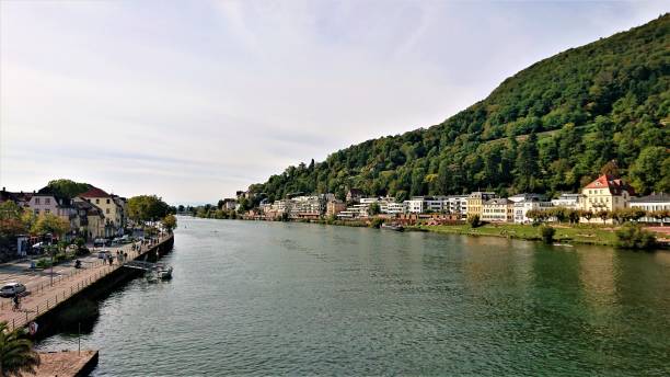 istock Neckar river at  Heidelberg city. 1358367260