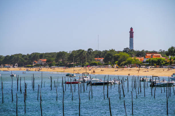 widok na dzielnicę bélisaire na półwyspie cap ferret - natural basin zdjęcia i obrazy z banku zdjęć