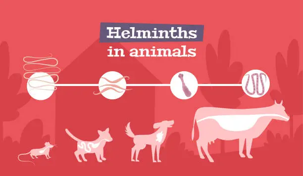 Vector illustration of Helminths Animals Flat Banner