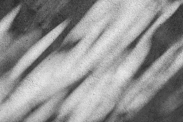 Leaves  shadow on the wall in monochrome, outdoor  Chiangmai  Thailand