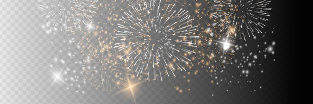 istock Vector Brightly Colorful Fireworks on the background of the night sky. 1358384997