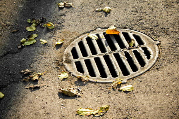istock Sewer hatch grid. Drain collector cover. Canalisation collector. 1358385197