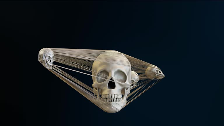 oddly satisfying animation of  skulls web. seamless loop, realistic 3d render