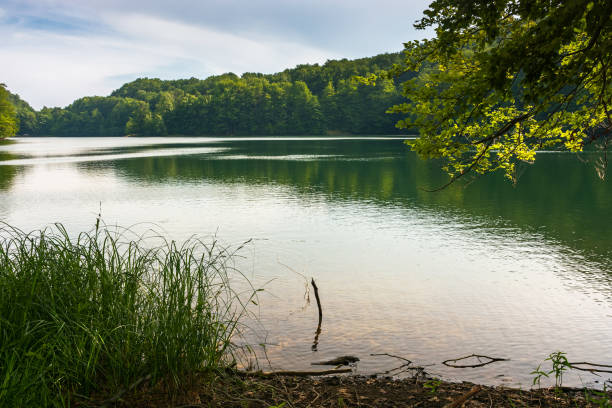istock vihorlat lake in summer 1358400241