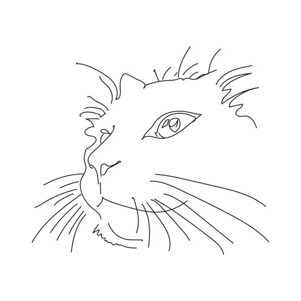 Vector illustration of Cat's head, line art style.