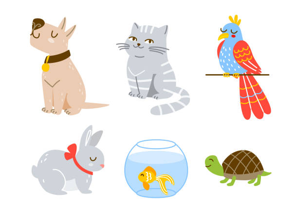 Set of cartoon pets isolated on white Set of cartoon pets isolated on white domestic animals stock illustrations