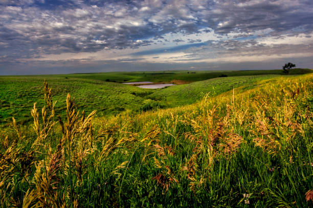 канзас флинт хиллз - prairie стоковые фото и изображения