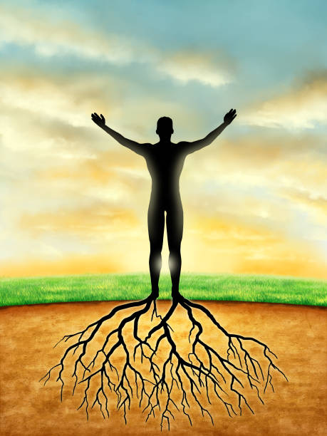 90+ The Connection Between Heaven And Earth Stock Photos and