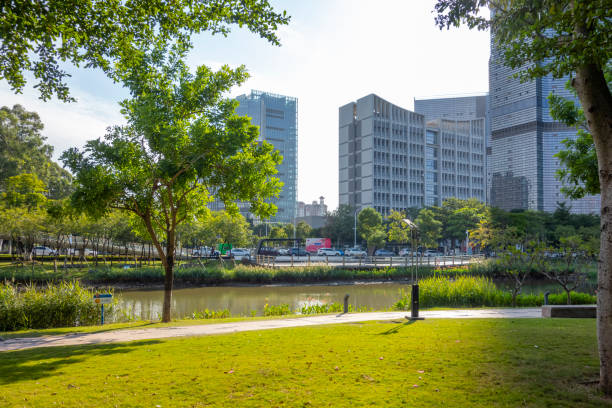 istock Guangzhou Nansha urban CBD and grassland 1358429065