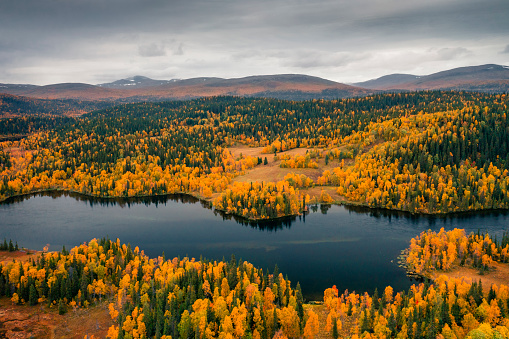 Blue lake and mountains with coloured trees in autumn along the scenic Wilderness Road in Jämtland in Sweden from above