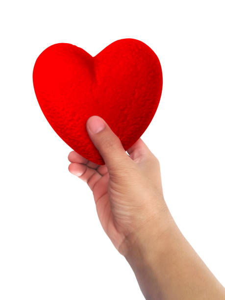 istock Heart foam isolated on white background 1358430314