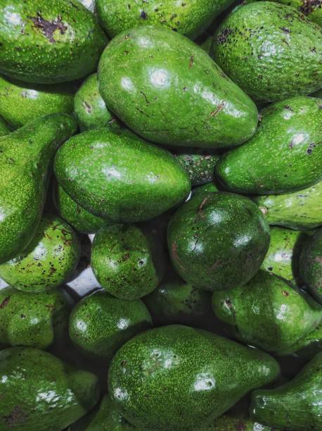 Bunch of Avocadoes