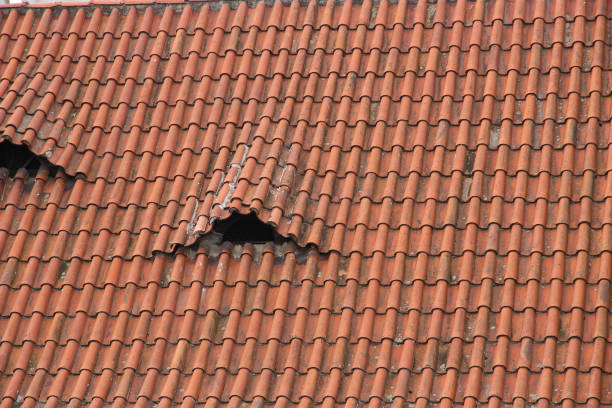 red tiles roof close up of the house. - tegula imagens e fotografias de stock