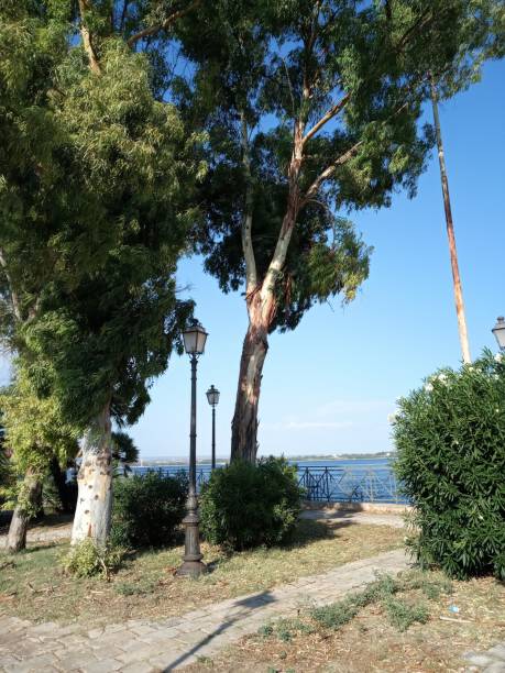 istock Sea, trees, beach, travel, tourism 1358434754