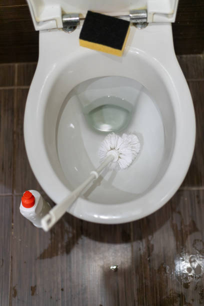 istock Man hand cleaning toilet with brush 1358437163