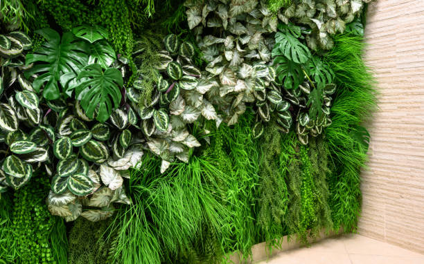 istock Plants wall in office or home interior, vertical garden detail 1358440821