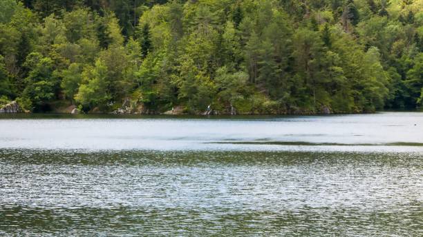 istock High mountain lake in summer 1358442787