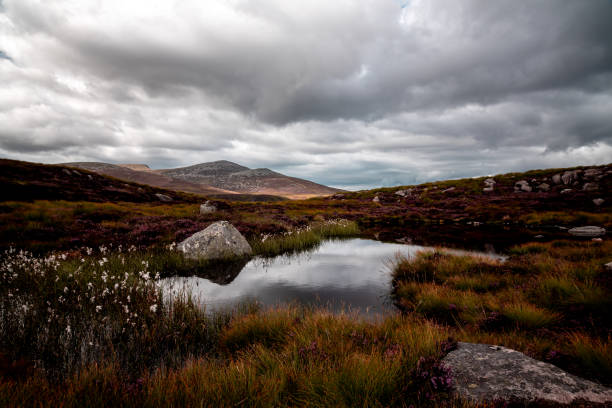 istock wild scenery with mountain peaks in the distance 1358445805