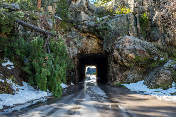 Doane Robinson Tunnel in Black Hills National Forest, South Dakota Doane Robinson Tunnel in Black Hills National Forest, South Dakota in Custer, South Dakota, United States black hills national forest stock pictures, royalty-free photos & images