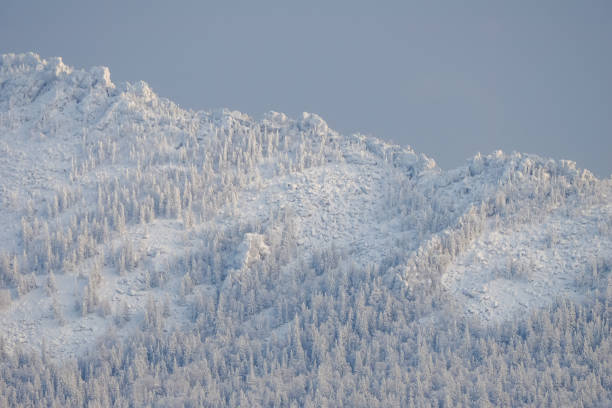 Very beautiful snowy winter forest after a snowfall. Mountain range close up. It's Christmas time.