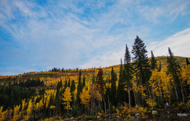 istock Autumn in the Mountains 1358448749