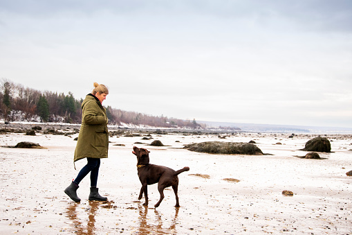 A woman getting away from it all with her dog on a beach in the winter. Photographed in North America.