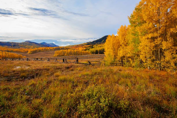 istock Autumn in the Mountains 1358448900