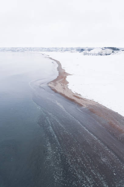 istock Angelholm beach during winter on the Swedish West Coast. 1358448951