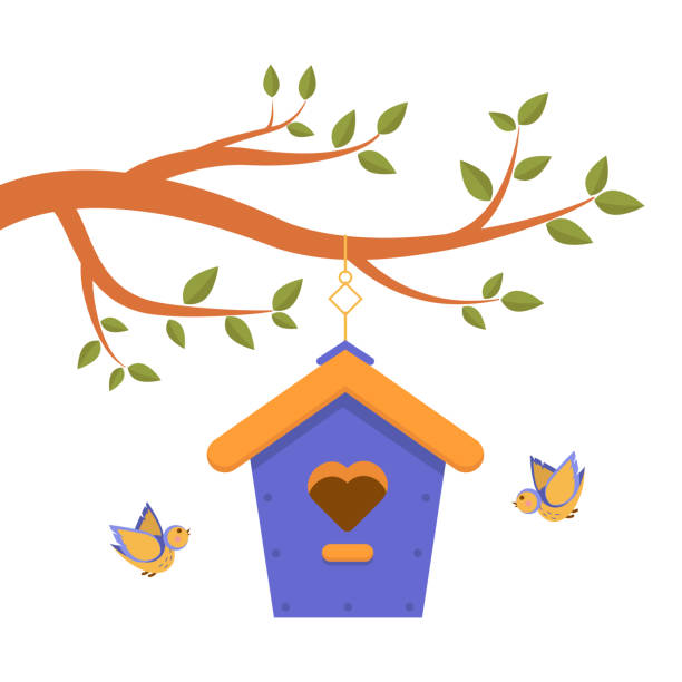 Branch Of Tree With Green Leaves And Cute Purple Birdhouse With Wooden Roof  Stock Illustration - Download Image Now - iStock