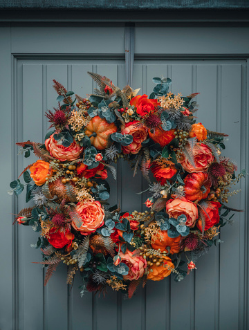 A traditional decorative yule Christmas wreath made of pine branches, pine cones, dried oranges, cinnamon bun and red berries hanging on a hanging on a blue wooden Victorian front door with  knocker in London, UK