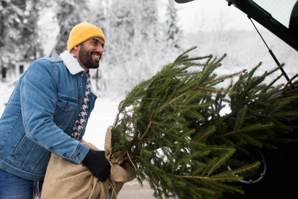 istock The handsome man chose the perfect Christmas tree for his home 1358451845