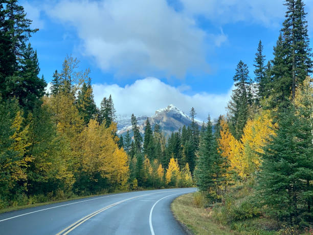 istock Road in the Rocky Mountains 1358453239