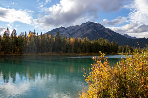 istock river in the mountains in Canada 1358453868