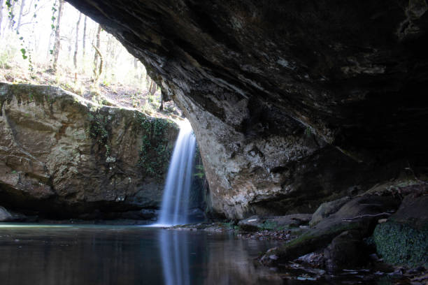 istock waterfall in the wood 1358454192