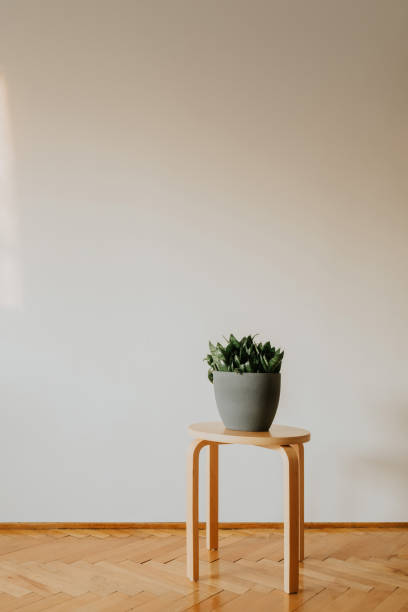 istock Wooden stool with green plant on white background 1358455013