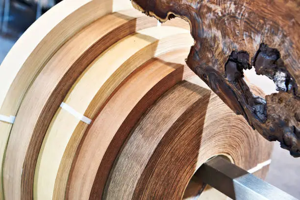 Edge coils natural wood veneer for furniture and interiors