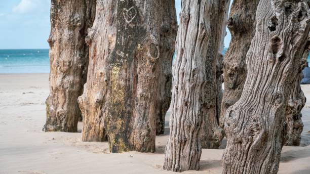 istock Saint-Malo, France 1358458619