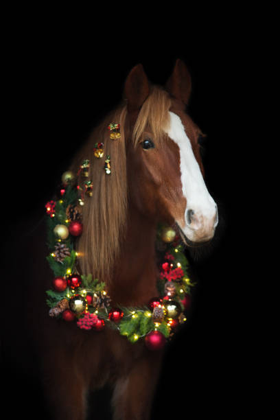 istock Horse with christmas decoration 1358460717