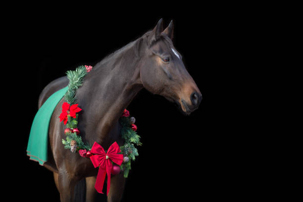 istock Horse in a christmas wreath on black background 1358460733